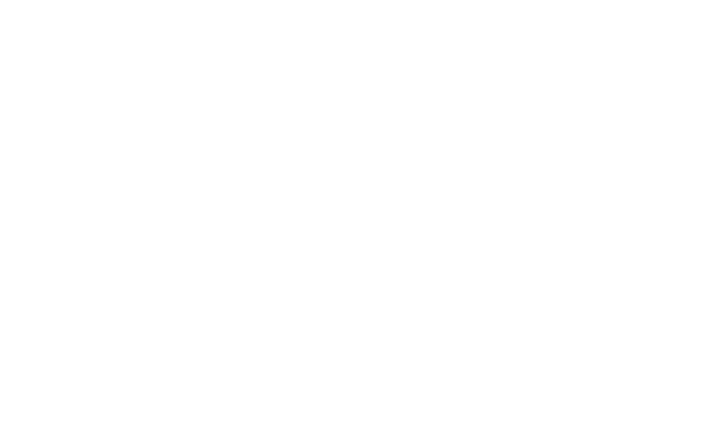 Cheetah silhouette