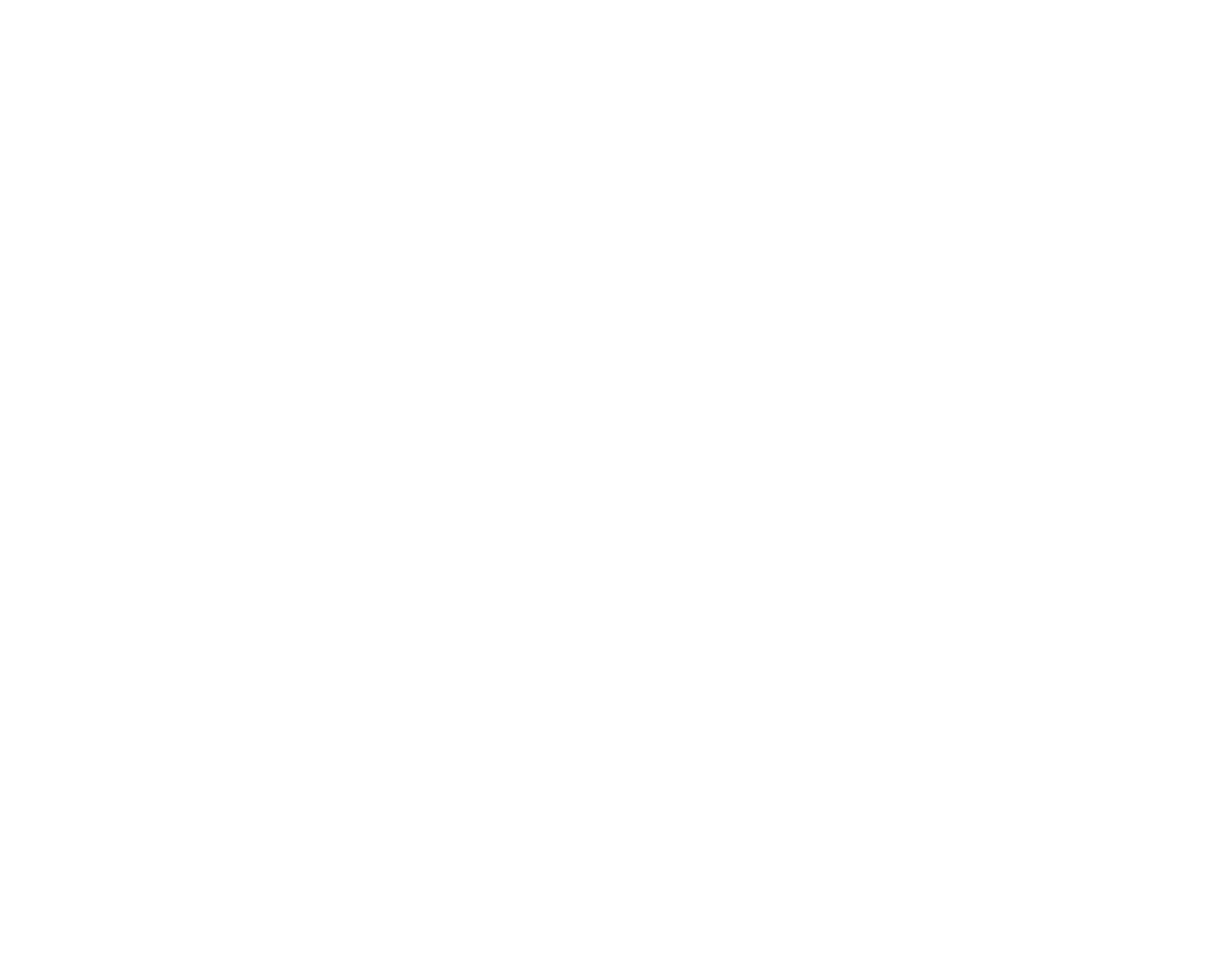 Zebra silhouette